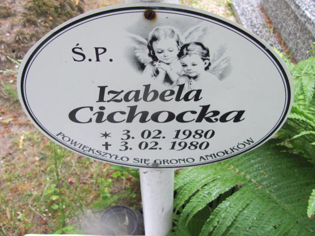 Izabela Cichocka 1980 Lubin - Grobonet - Wyszukiwarka osób pochowanych