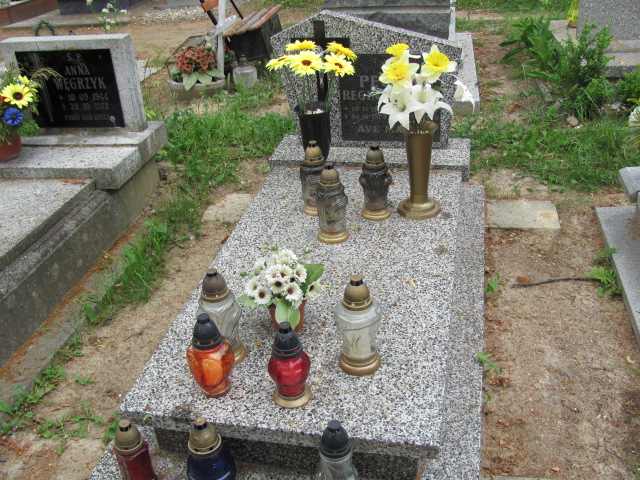 Grób Alojzy Pęciak