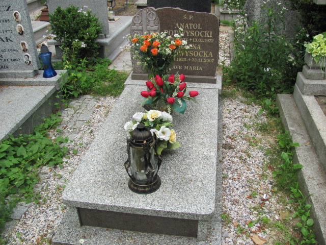 Grób Anatol Podwysocki