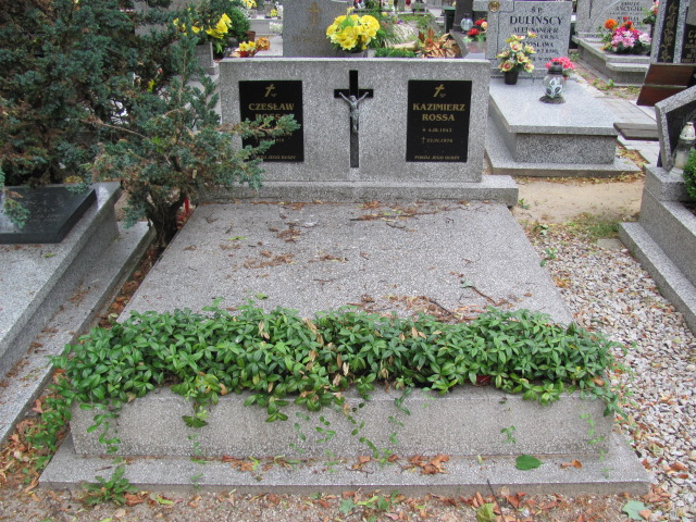 Grób Czesław Rossa