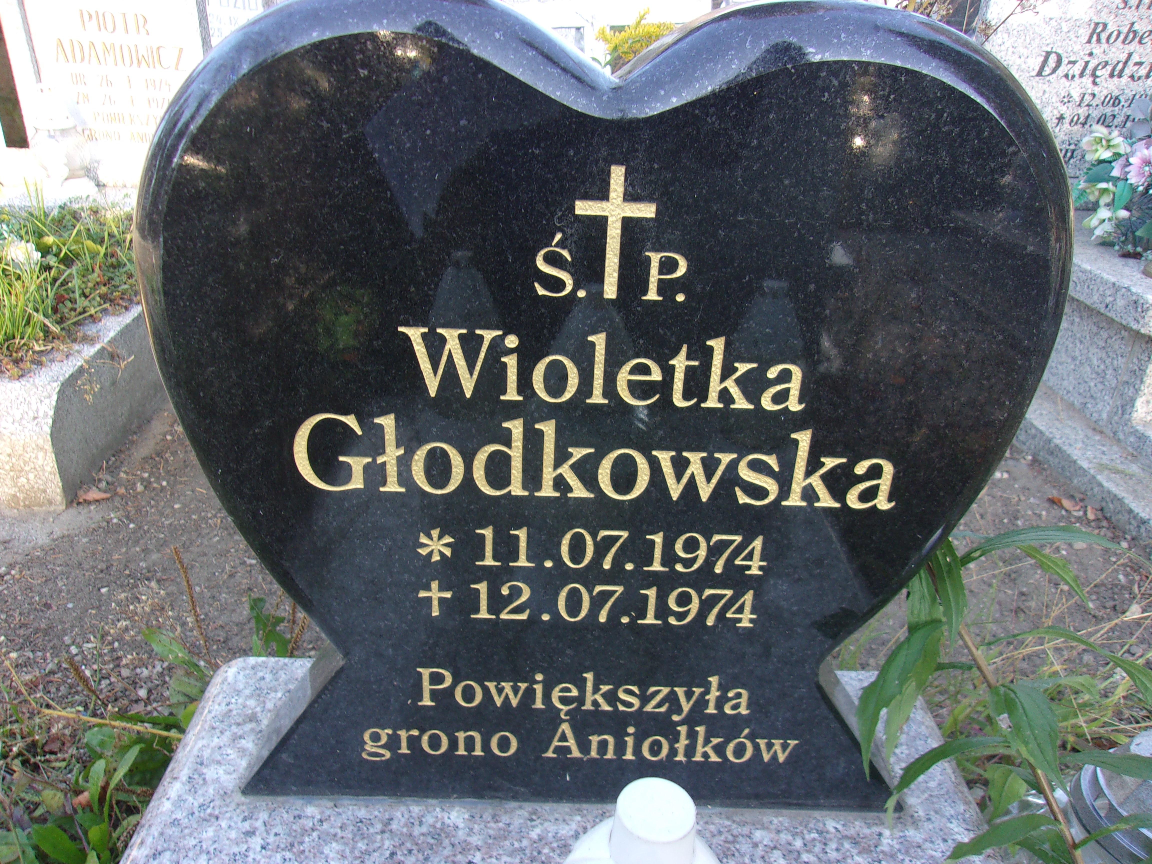 Wioletta Głodkowska 1974 Lubin - Grobonet - Wyszukiwarka osób pochowanych