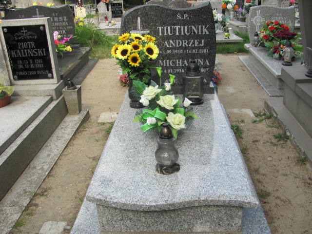 Grób Michalina Tiutiunik