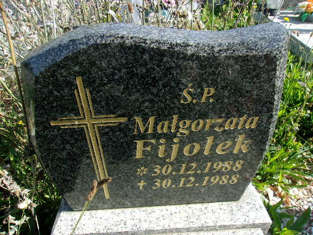 Małgorzata Fijołek 1988 Lubin - Grobonet - Wyszukiwarka osób pochowanych