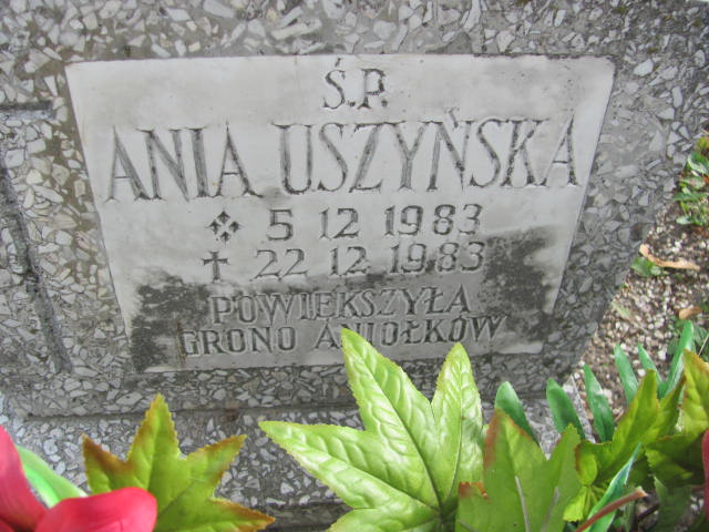 Anna Uszyńska 1983 Lubin - Grobonet - Wyszukiwarka osób pochowanych