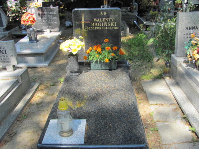 Grób Walenty Bagiński