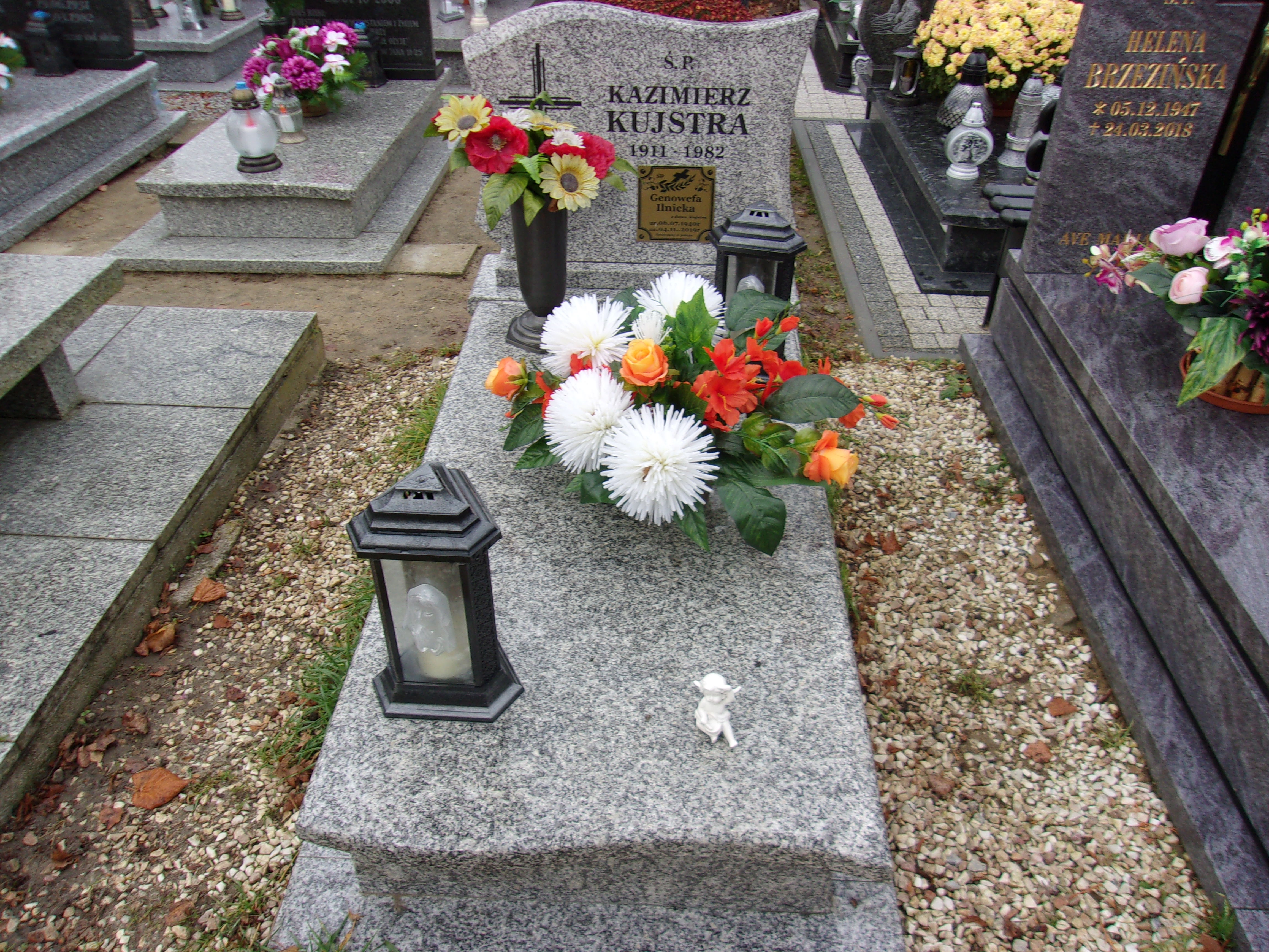 Grób Kazimierz Kujstra