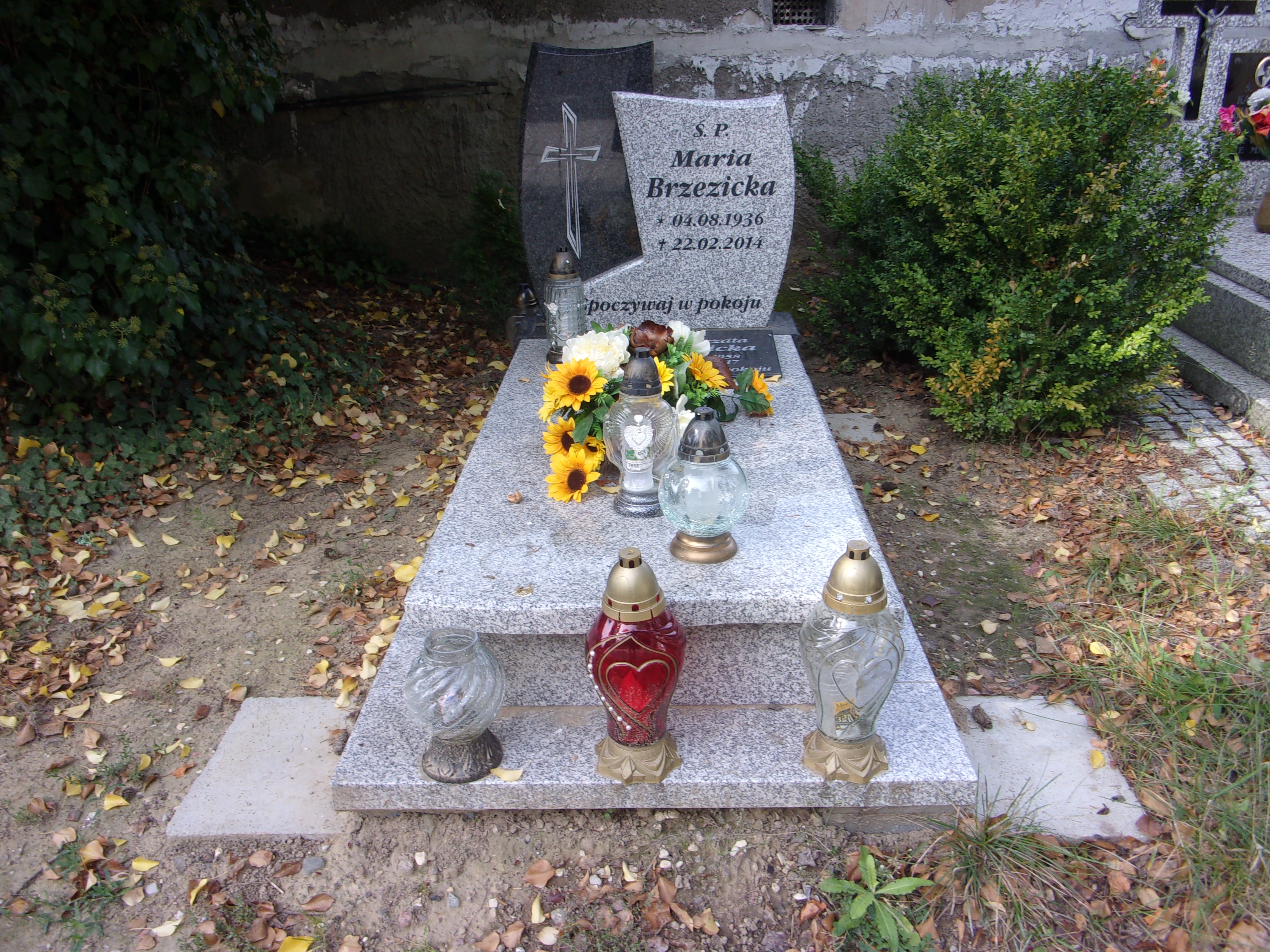 Małgorzata Brzezicka 1958 Lubin - Grobonet - Wyszukiwarka osób pochowanych