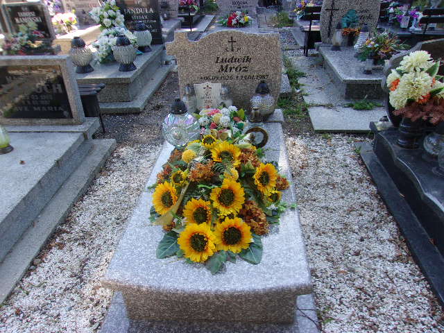 Grób Ludwik Mróz