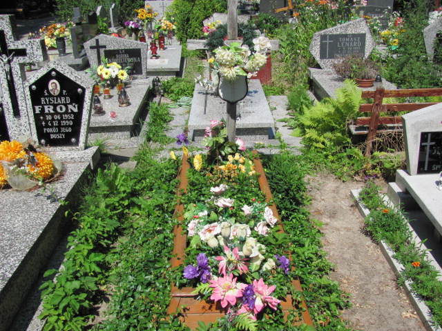 Grób Władysław Ćwięk