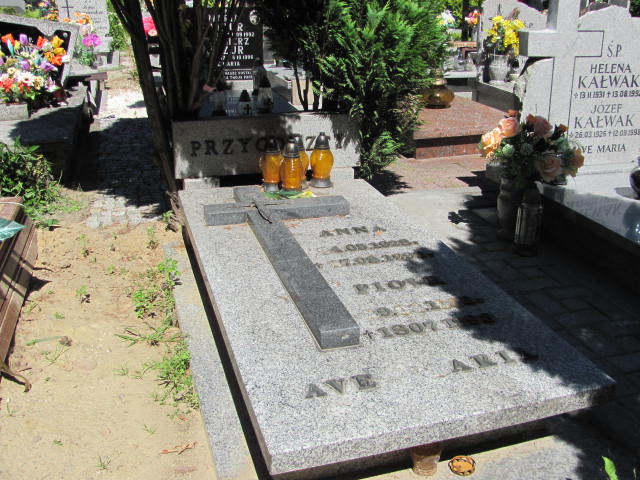 Grób Piotr Przygodzki