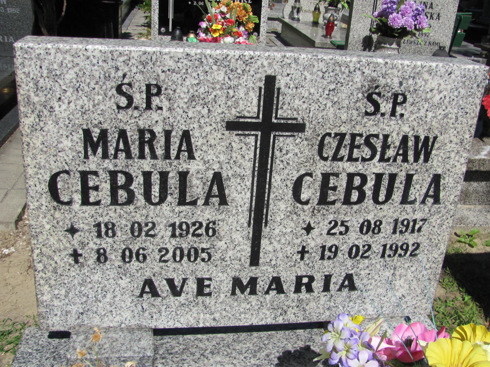 Maria Cebula 1926 Lubin - Grobonet - Wyszukiwarka osób pochowanych