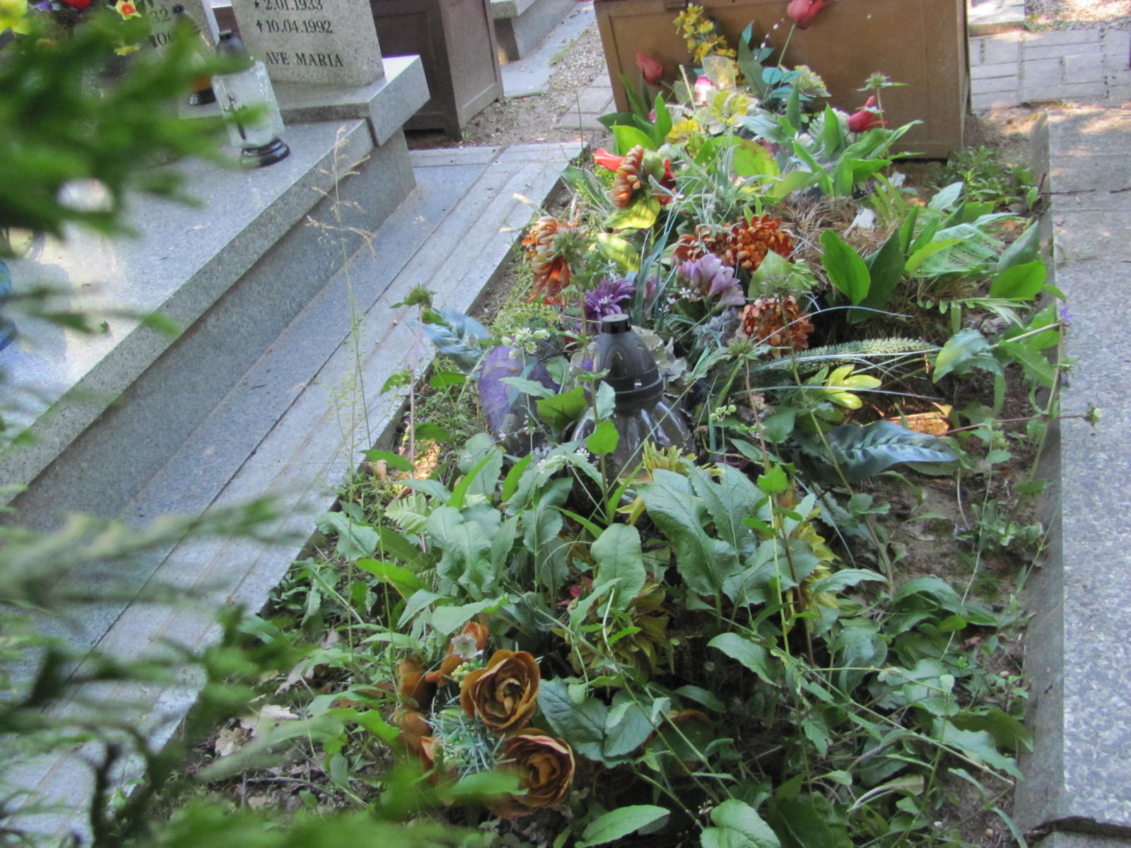 Anna Dziadyk 1910 Lubin - Grobonet - Wyszukiwarka osób pochowanych