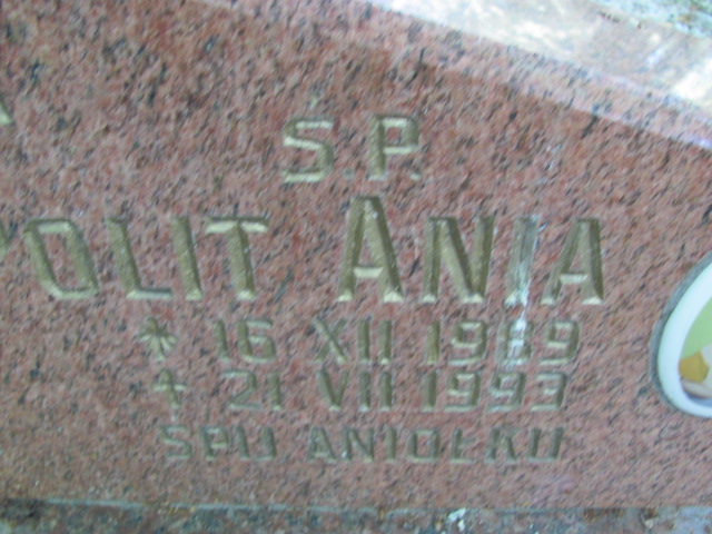 Anna Polit 1989 Lubin - Grobonet - Wyszukiwarka osób pochowanych