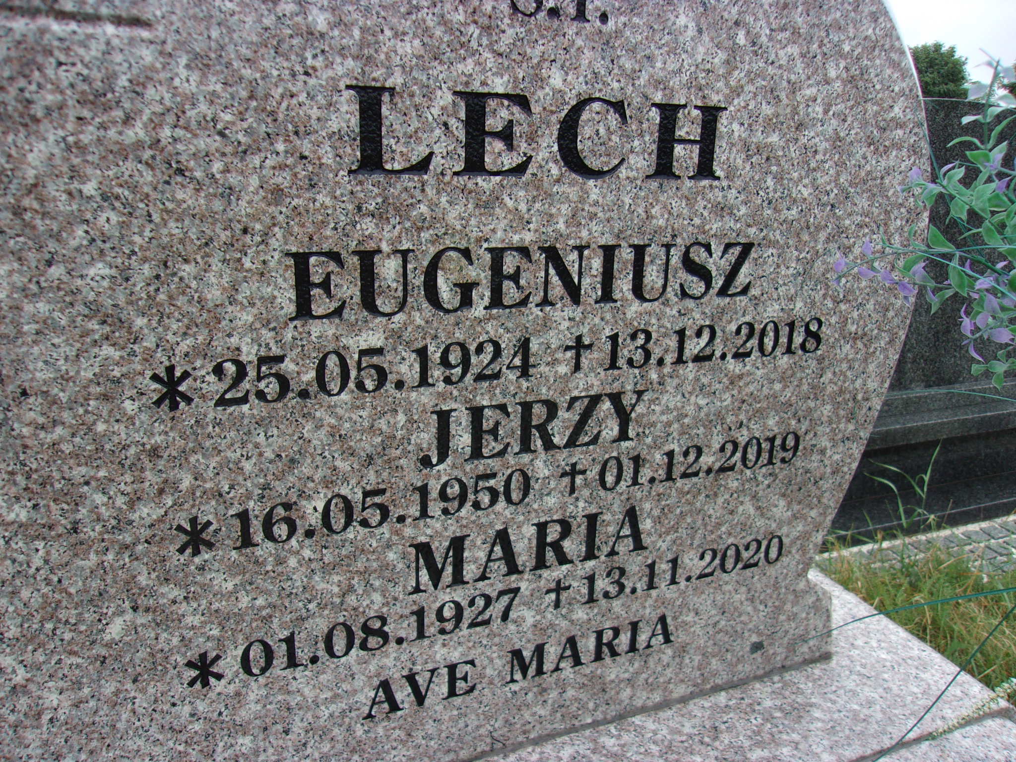 Jerzy Lech 1950 Lubin - Grobonet - Wyszukiwarka osób pochowanych