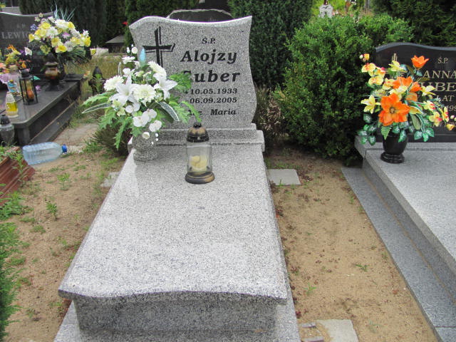 Grób Alojzy Izydor Cuber