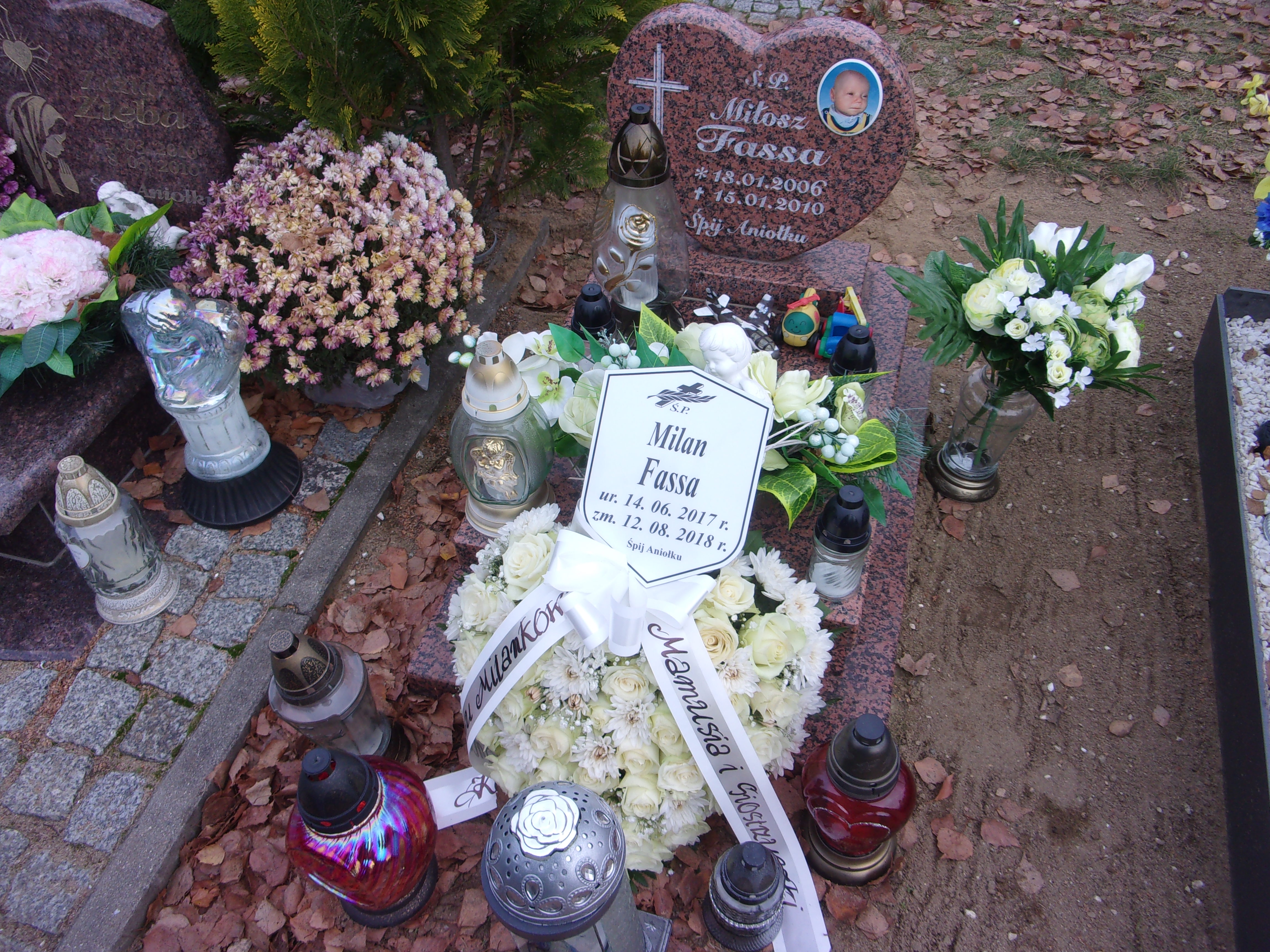Grób Miłosz Fassa