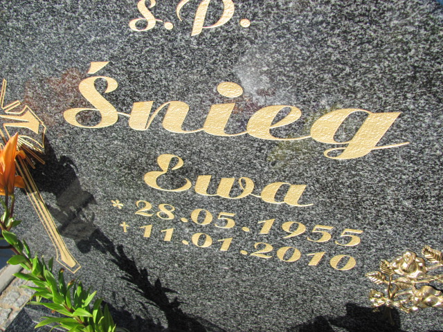 Jerzy Śnieg 1950 Lubin - Grobonet - Wyszukiwarka osób pochowanych