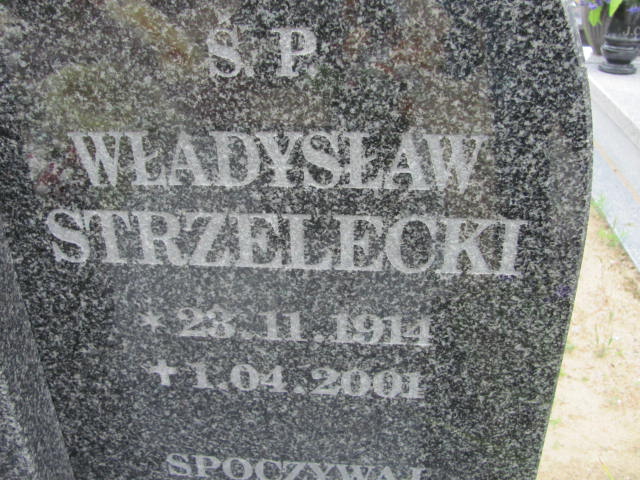 Władysław Strzelecki 1914 Lubin - Grobonet - Wyszukiwarka osób pochowanych