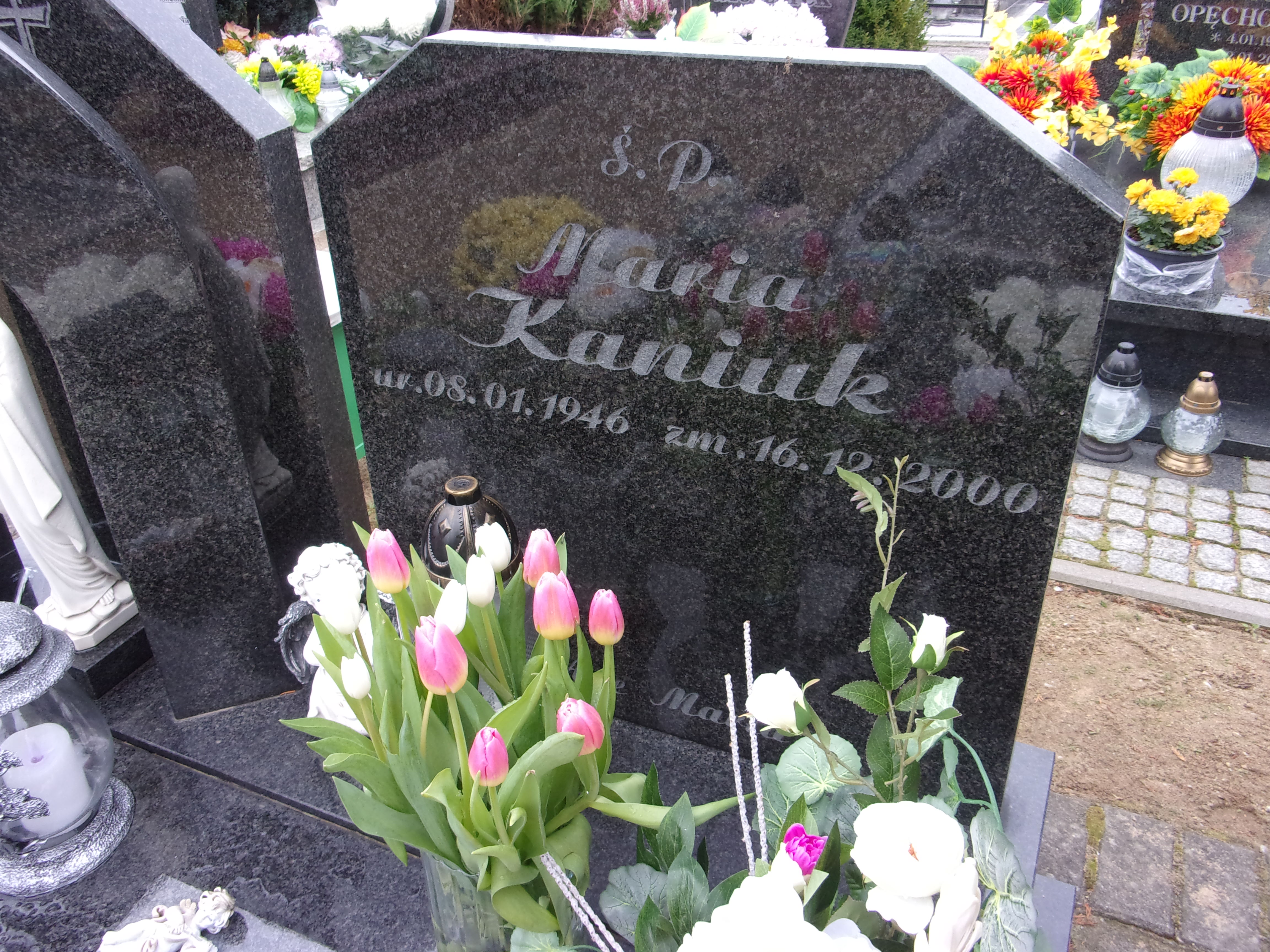 Maria Kaniuk 1946 Lubin - Grobonet - Wyszukiwarka osób pochowanych