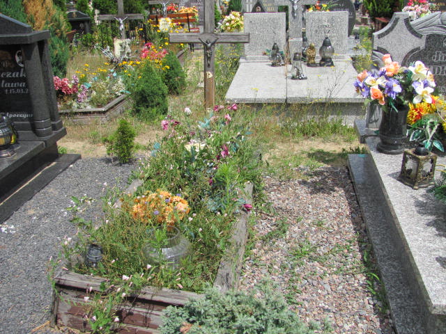 Grób Stanisław Mulewicz
