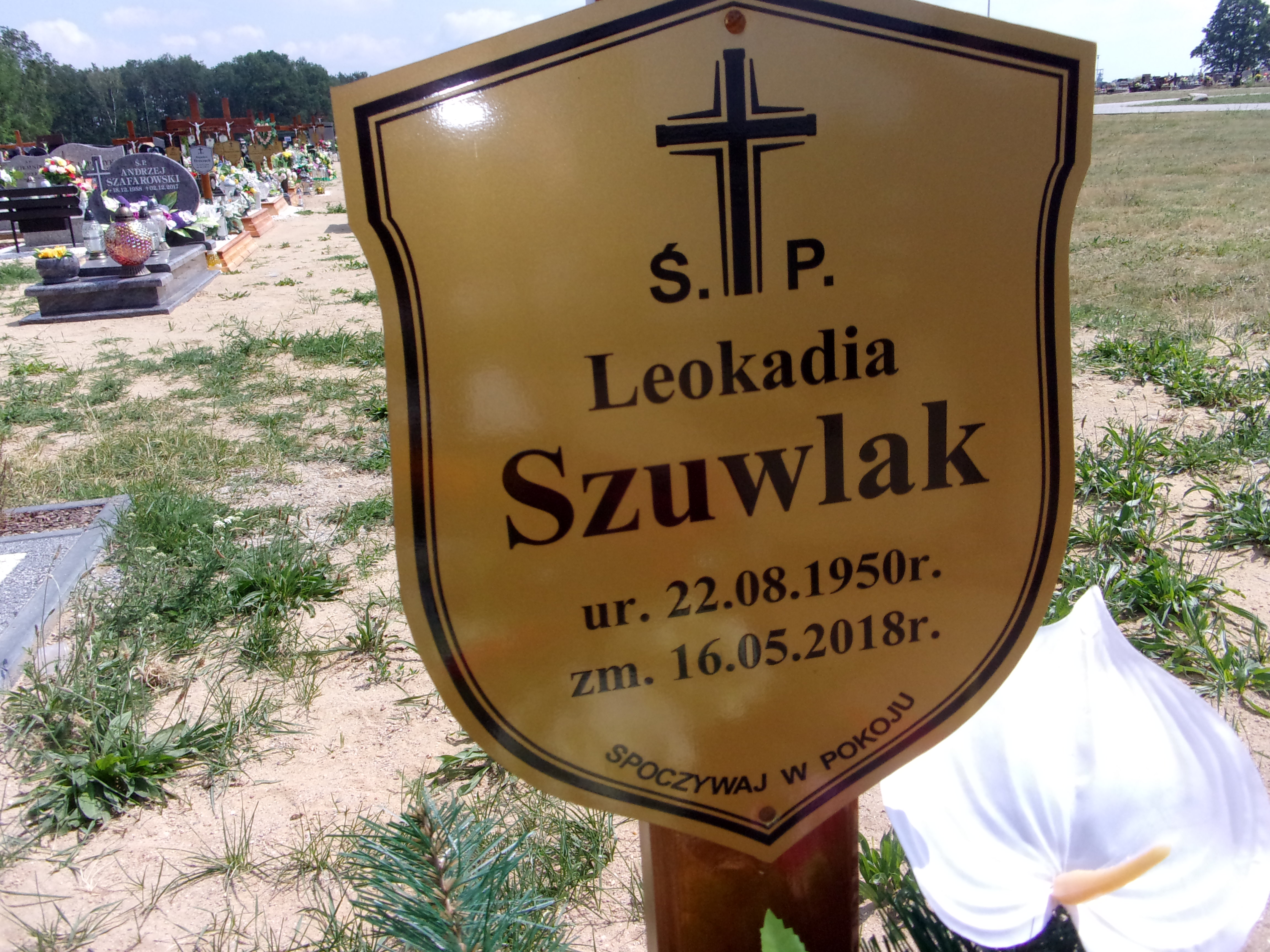 Leokadia Szuwlak 1950 Lubin - Grobonet - Wyszukiwarka osób pochowanych